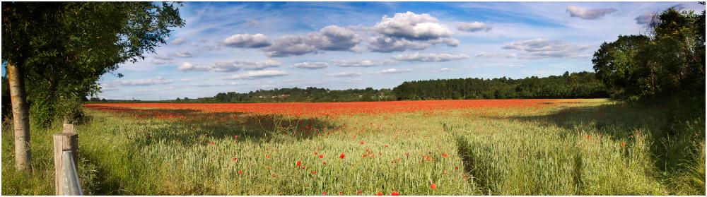 WebsiteLandscape4